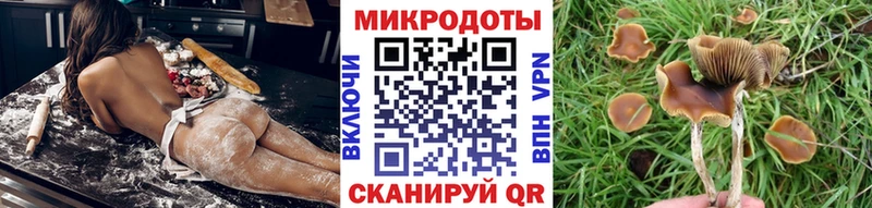Псилоцибиновые грибы Magic Shrooms  Шагонар 